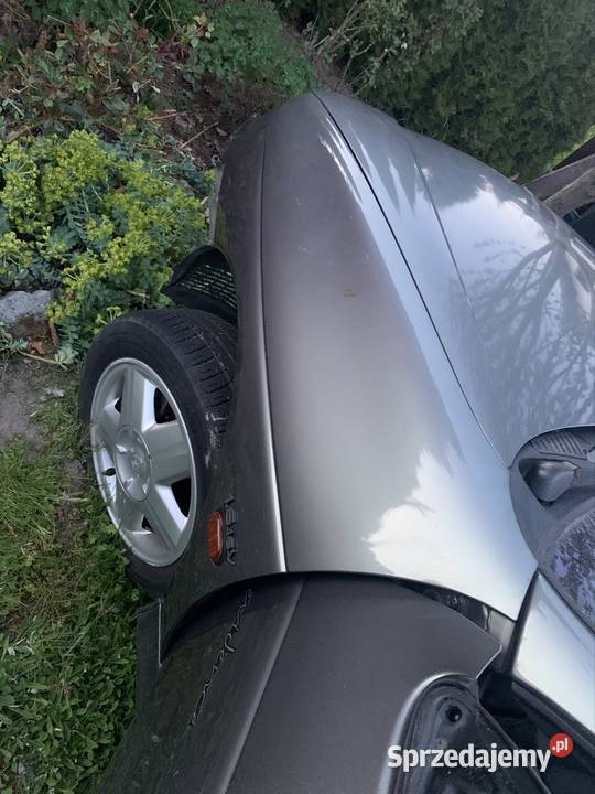 Renault megane I cabrio lift błotnik lewy Nieborowice