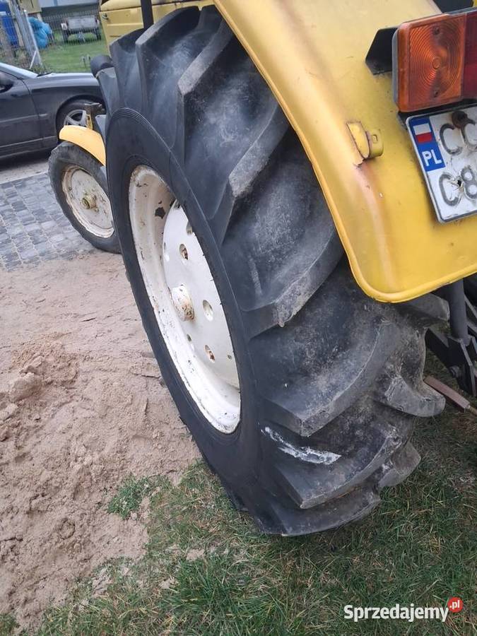 Ursus Orginał Lisewo