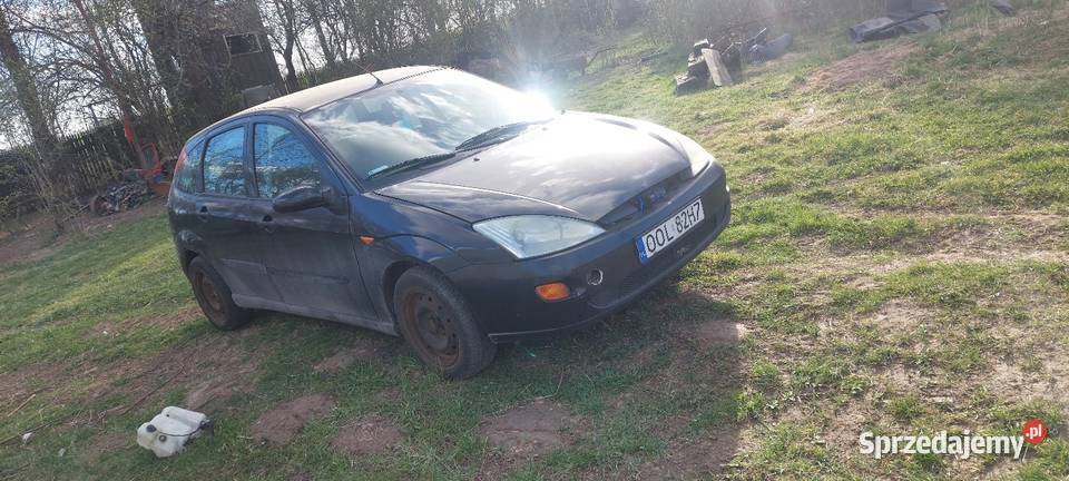 Ford Focus opolskie