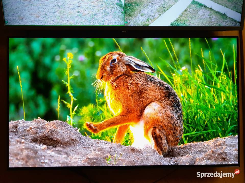 TV LG OLED 48 120Hz 4K UHD hdr Smart WIFI DVBT2 Telewizory Karczew