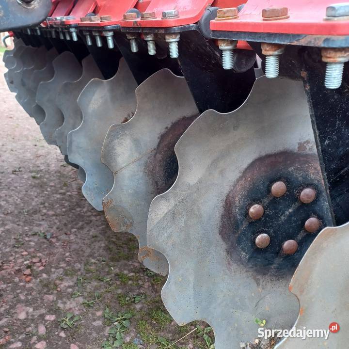 Talerzówka Dziadowa Kłoda