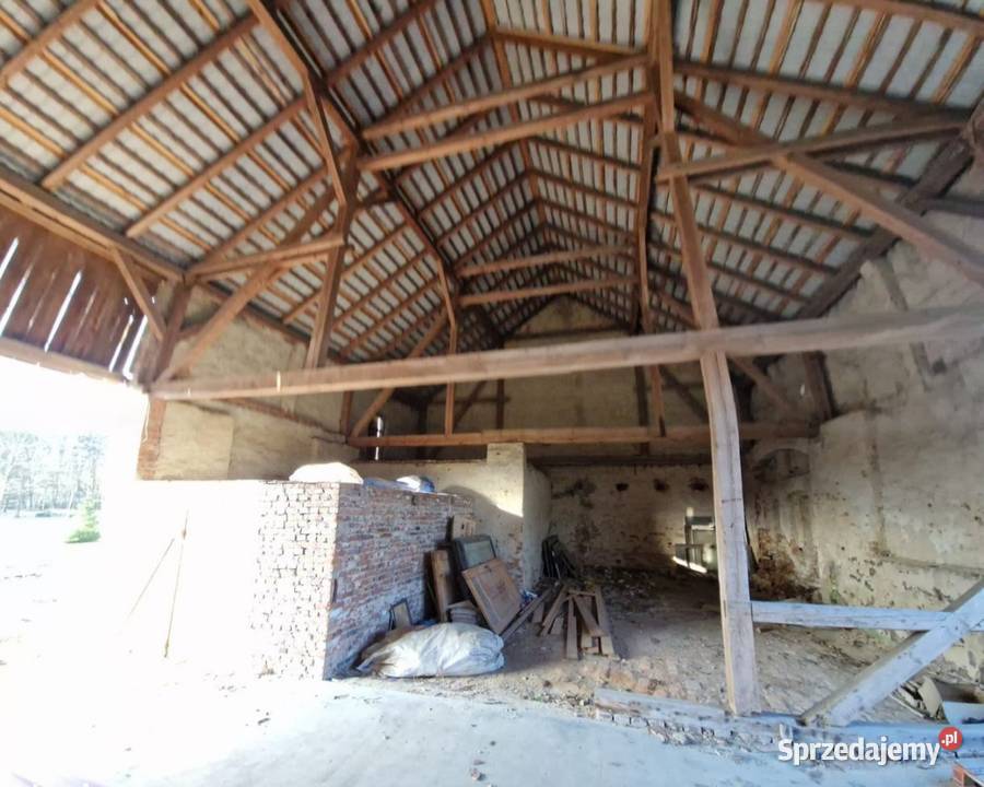 Domdziałka Trzebina Prudnik