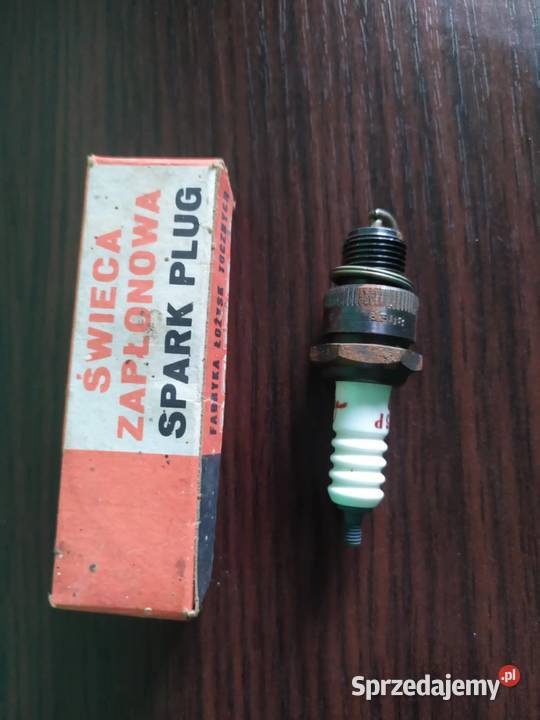 Nowa świeca osobowe Pszczółki