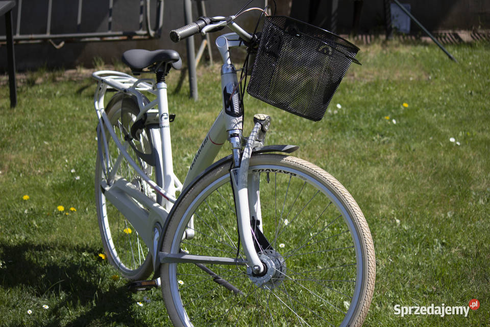Rower Batavus Mamba Częstochowa