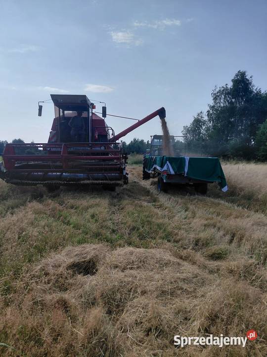 Massey Ferguson 24 Kielce sprzedam