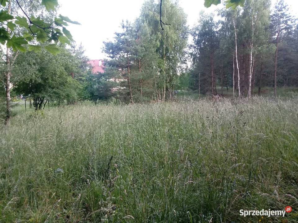 Sprzedam działę w Worytach na Warmii Woryty