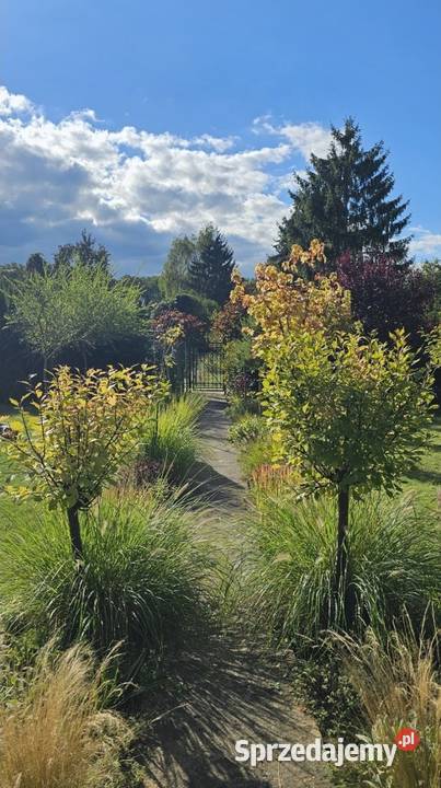 Działka rekreacyjna ROD Chełmno