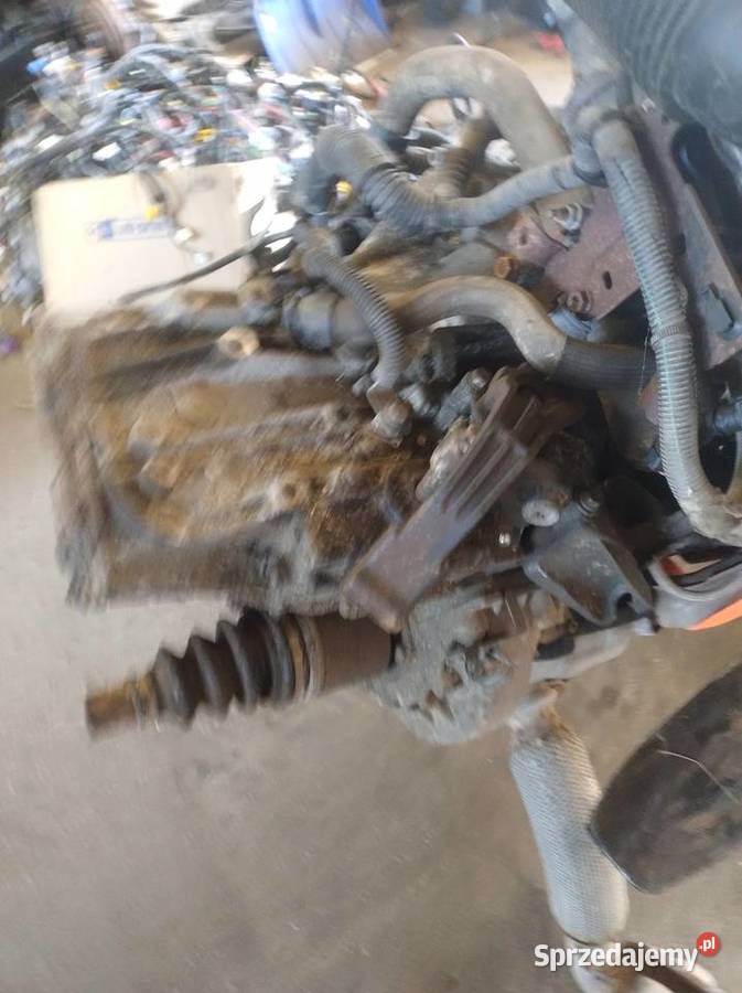 Skrzynia Biegów Fiat Scudo II 20 HDi Wysyłka Elbląg