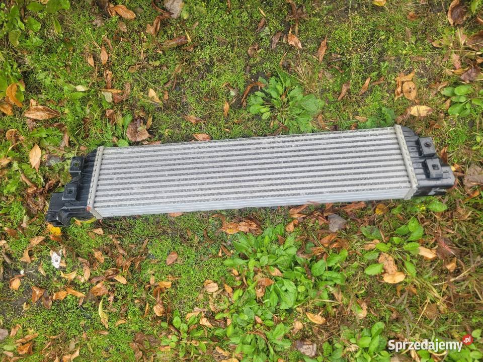 Chłodnica intercooler Renault Master 3 OEM Katowice