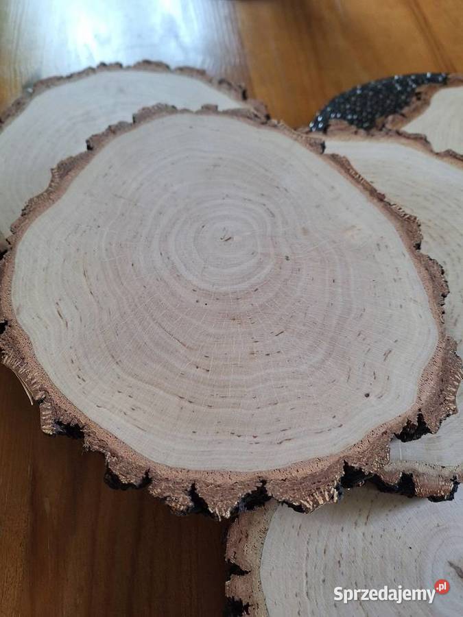 Plastry drewnabrzoza szlif obustronny Strzyżów sprzedam