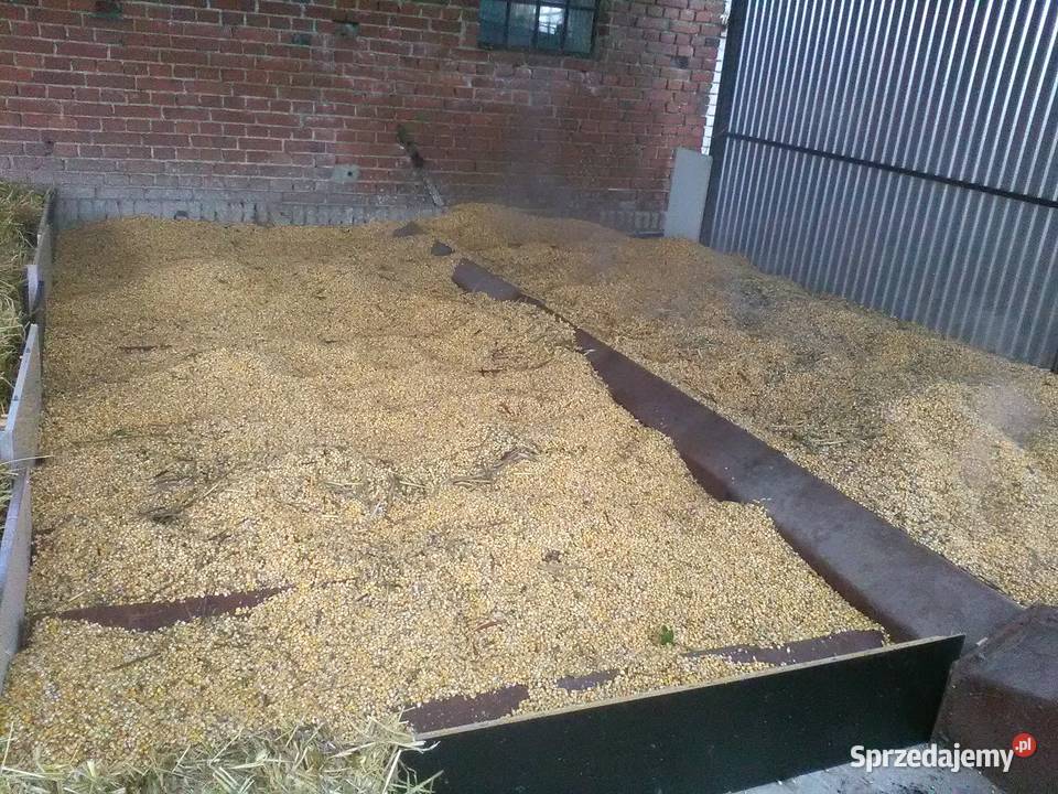 Suszarnia do kukurydzy Ostrzeszów sprzedam