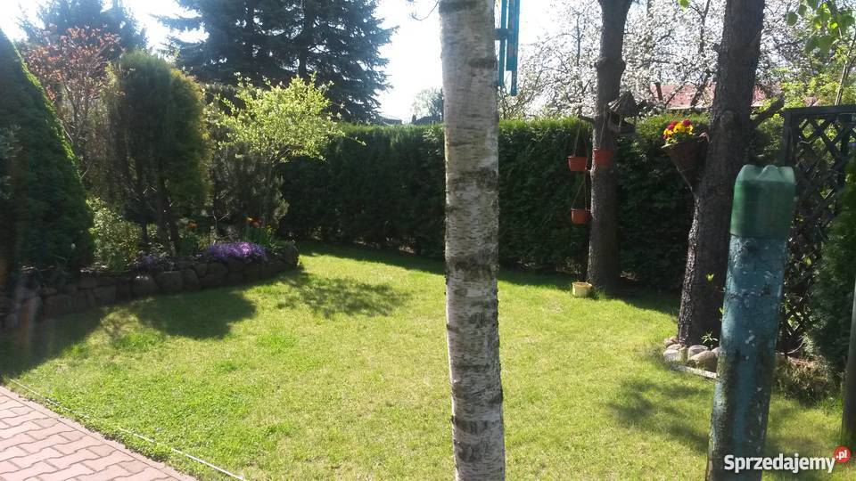 Działka z domkiem ROD Komorów kPruszkowa mazowieckie Komorów sprzedam