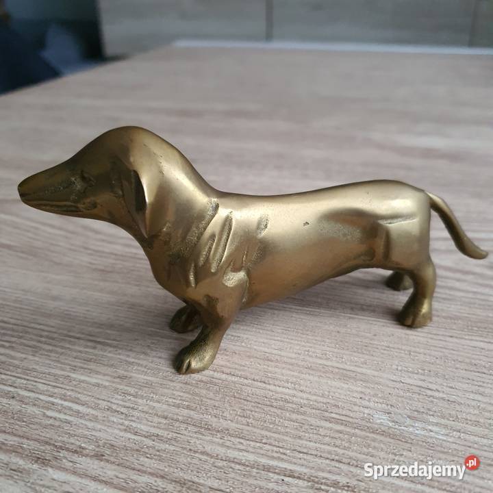 Jamnik mosiądz lubuskie