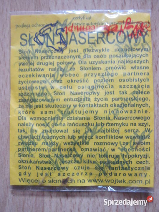 Żółwik forsie zachodniopomorskie Szczecin