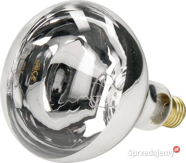 Promiennik HardGlass 250W biały 802002FA Hodowla drobiu Kamionna