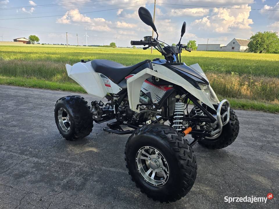 Quad Shineray Egl Bashan 250cc Ciecz Duża rama łańcuch Kruszwica sprzedam