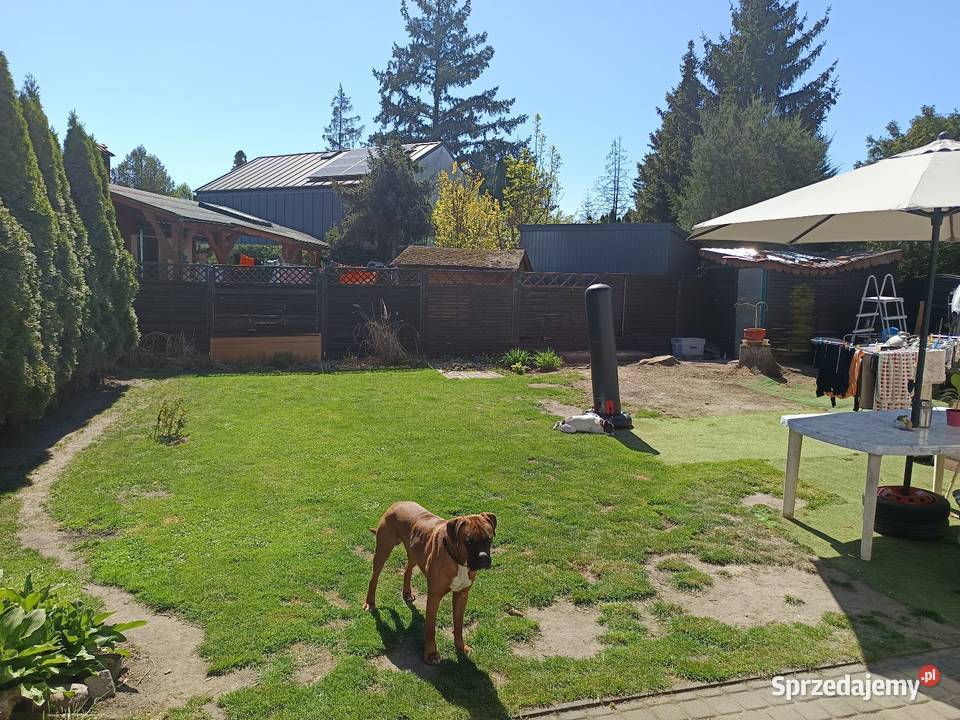 Sprzedam utwardzona Lusowo