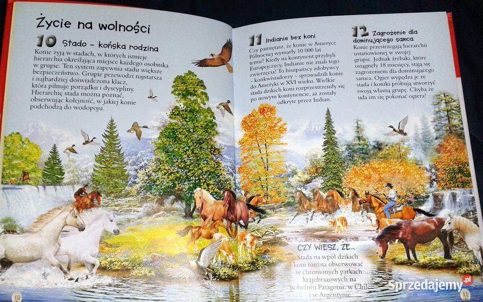 101 ciekawostek Konie Anais Puygrenier Chełm