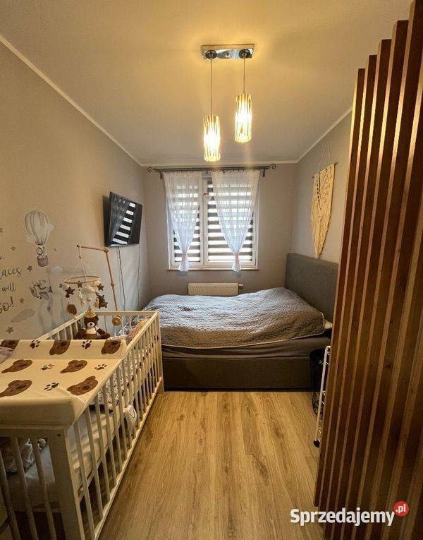 2pok 40met Babiego Lata OGRÓD2015 Wrocław parter dolnośląskie