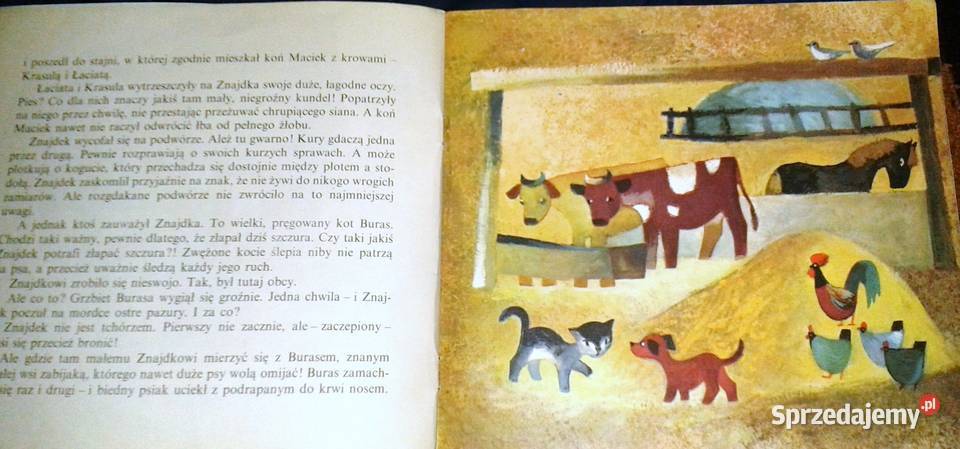 Znajdek Maria Terlikowska Chełm