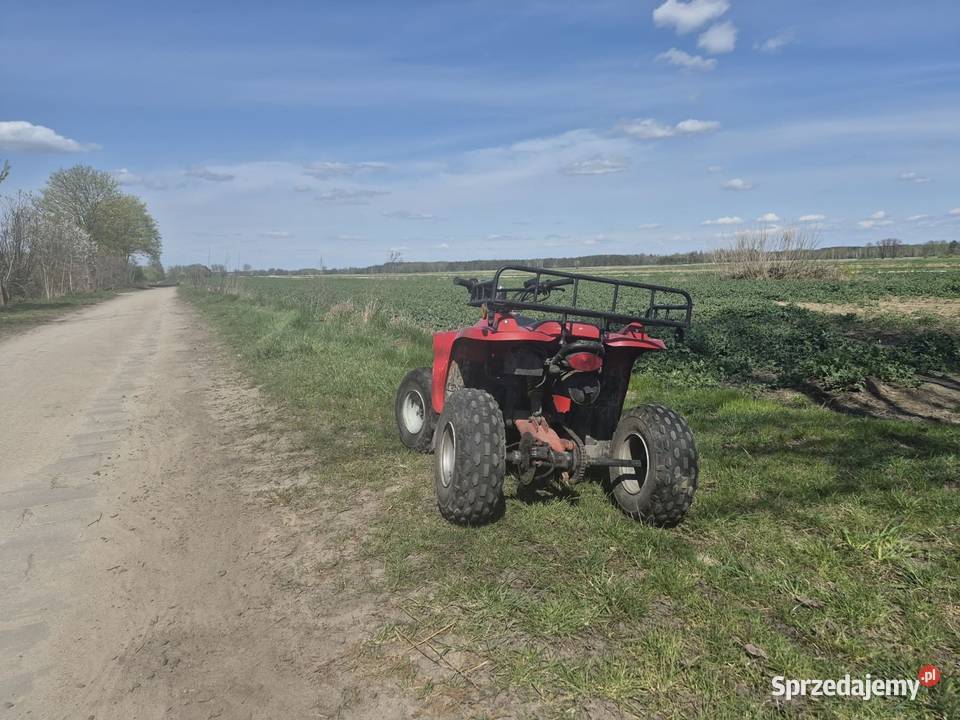 Quad 200 Pozostałe Parczew