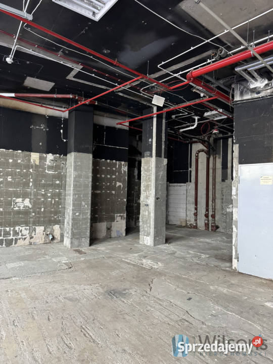 Do wynajęcia lokal 16629 metrów Warszawa 166.29m2 mazowieckie