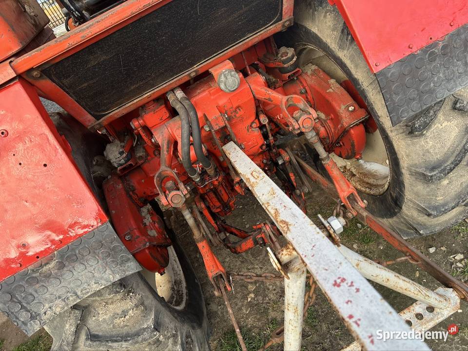 Sprzedam władymirca lubelskie Lublin