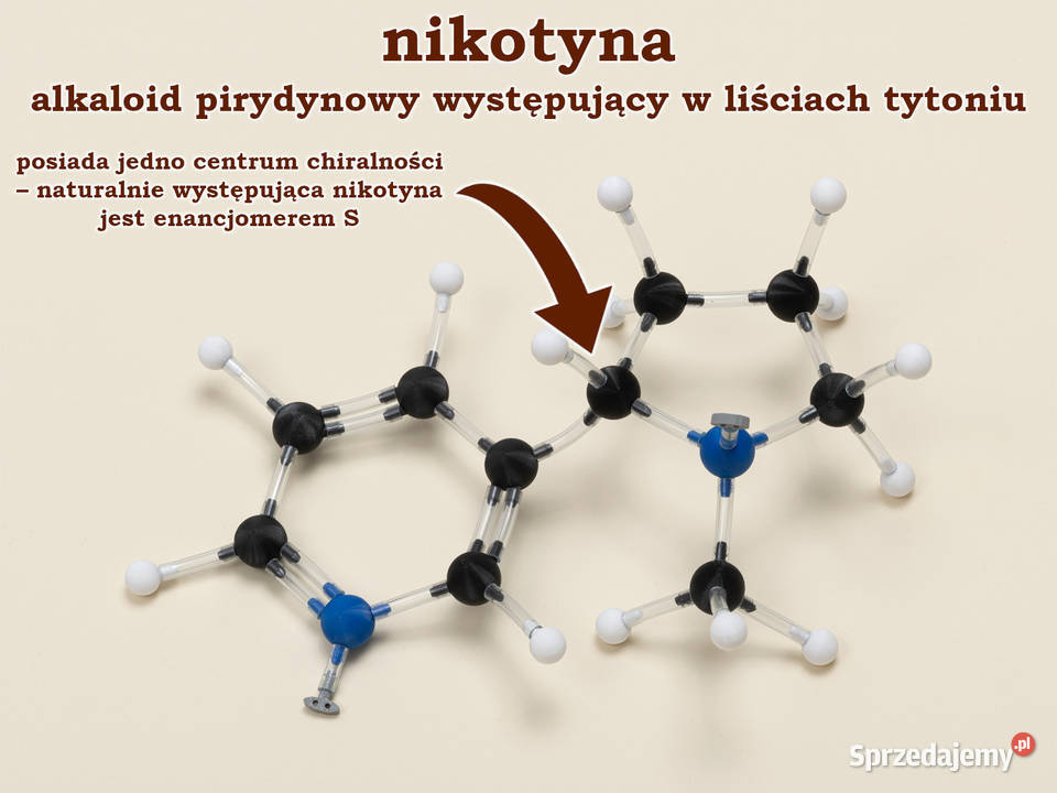 Modele atomów CHEMIA ORGANICZNA szkoła średnia Warszawa