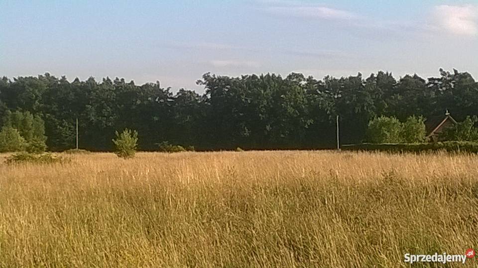 Działka Niepołomice Wola Batorska widok na Puszc małopolskie Wola Batorska