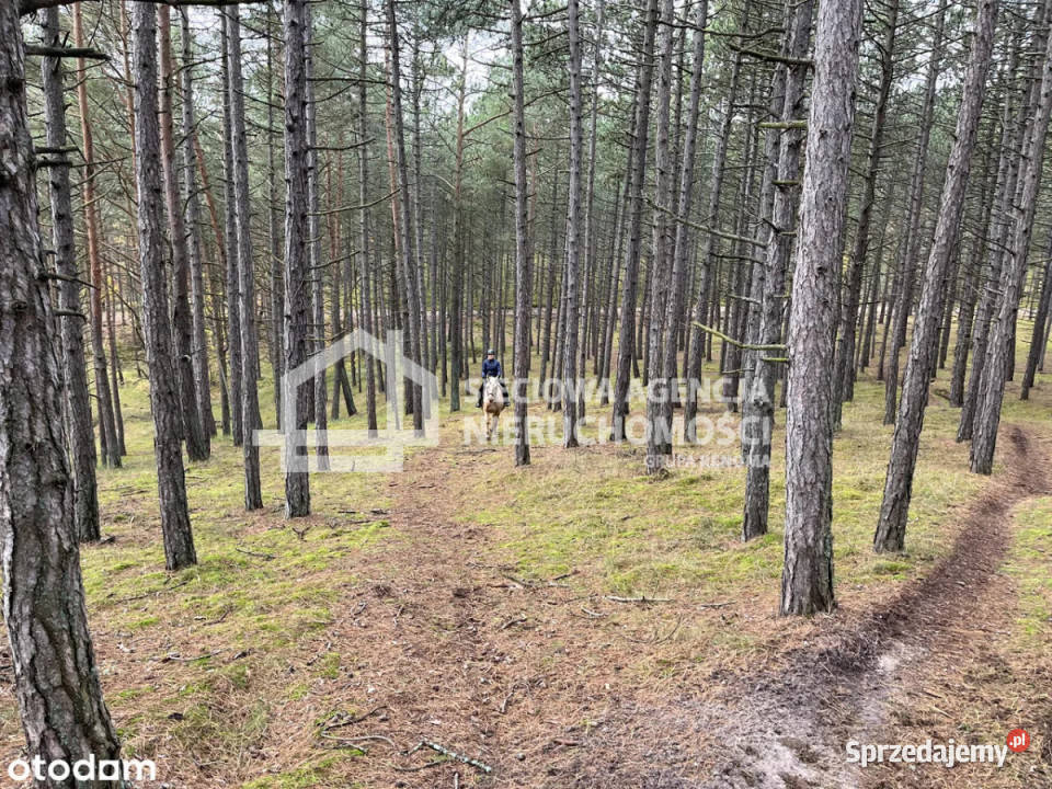 Grunt Mikoszewo 1000m2 prąd