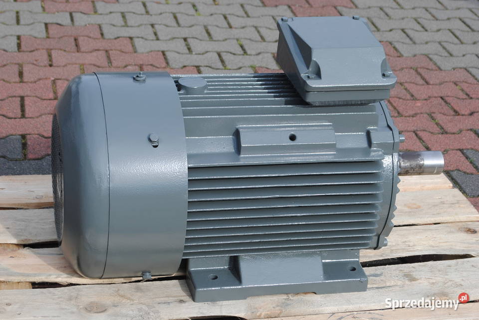 Silnik elektryczny 37kw 2954obrmin CELMA Kargowa sprzedam