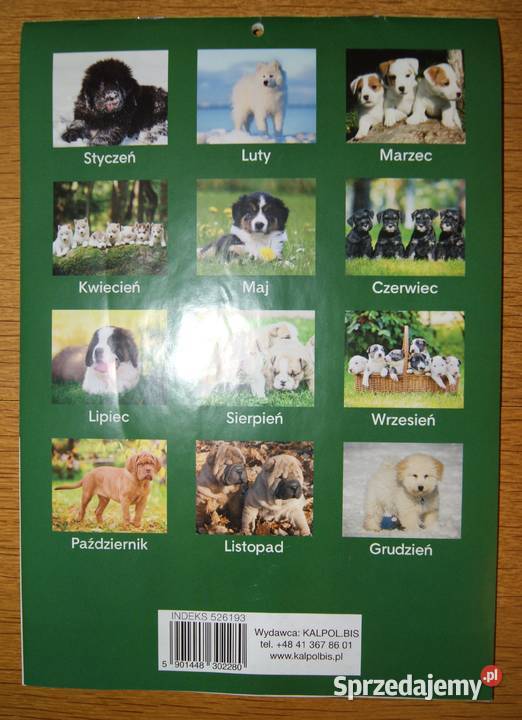 Kalendarz 2019 SZCZENIAKI Rok wydania 2015 Parczew