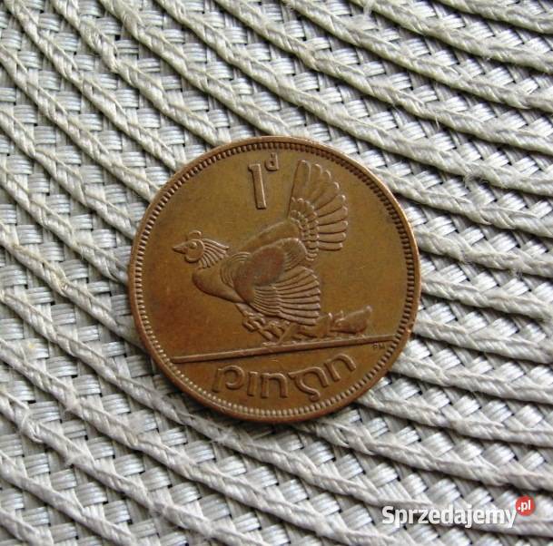 Irlandia 1 Pens 1963r Numizmatyka Kalisz