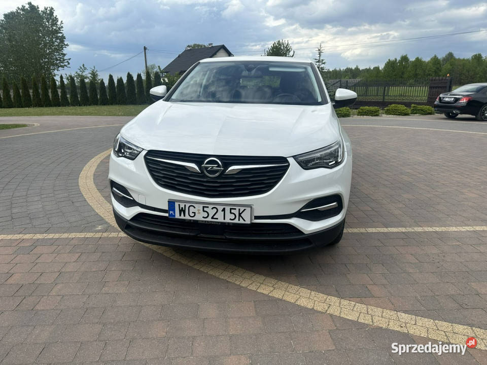 Opel Grandland X ESP Lipówki