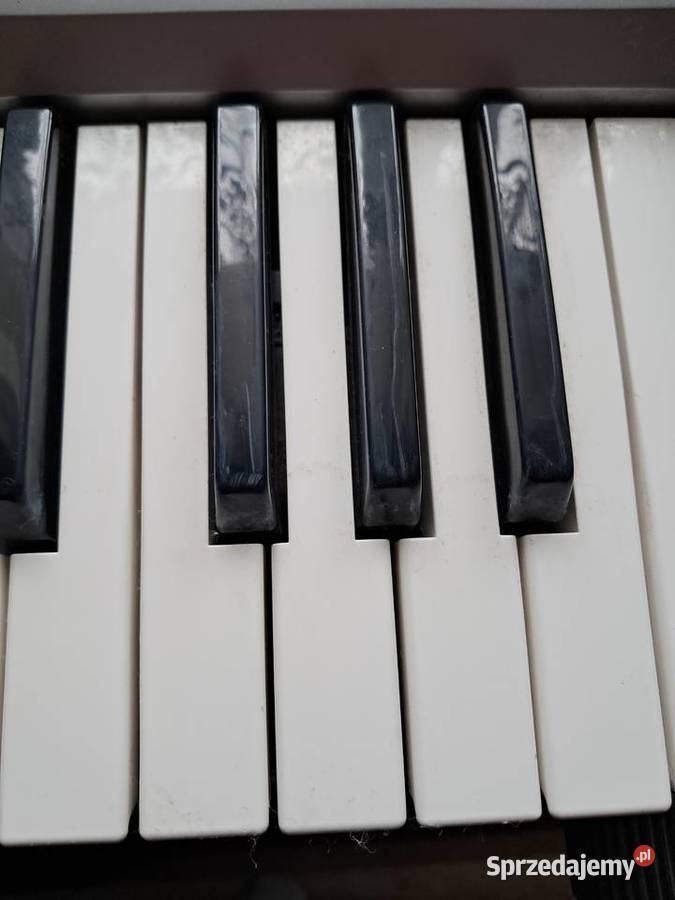 KEYBOARD świętokrzyskie Bogoria