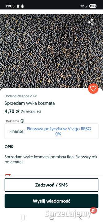 Wyka kosmata Cytrynowo