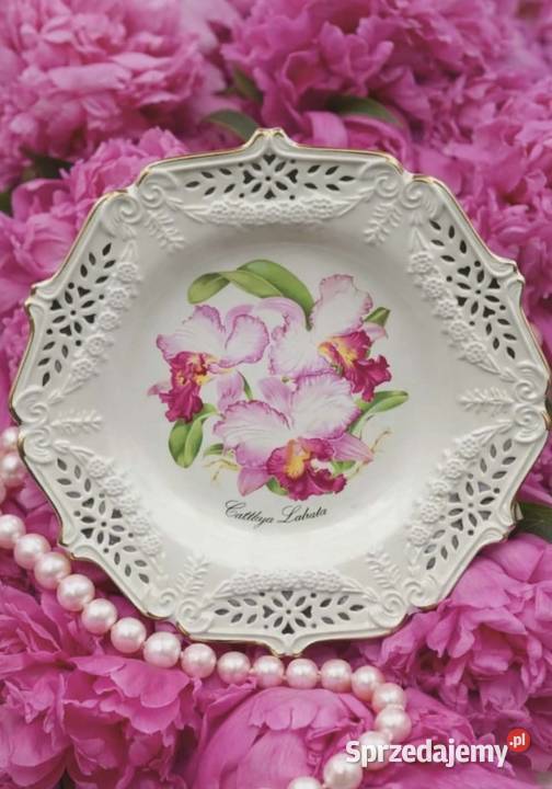 BradexCrown DavenportStorczyki Cattleya Labiata łódzkie
