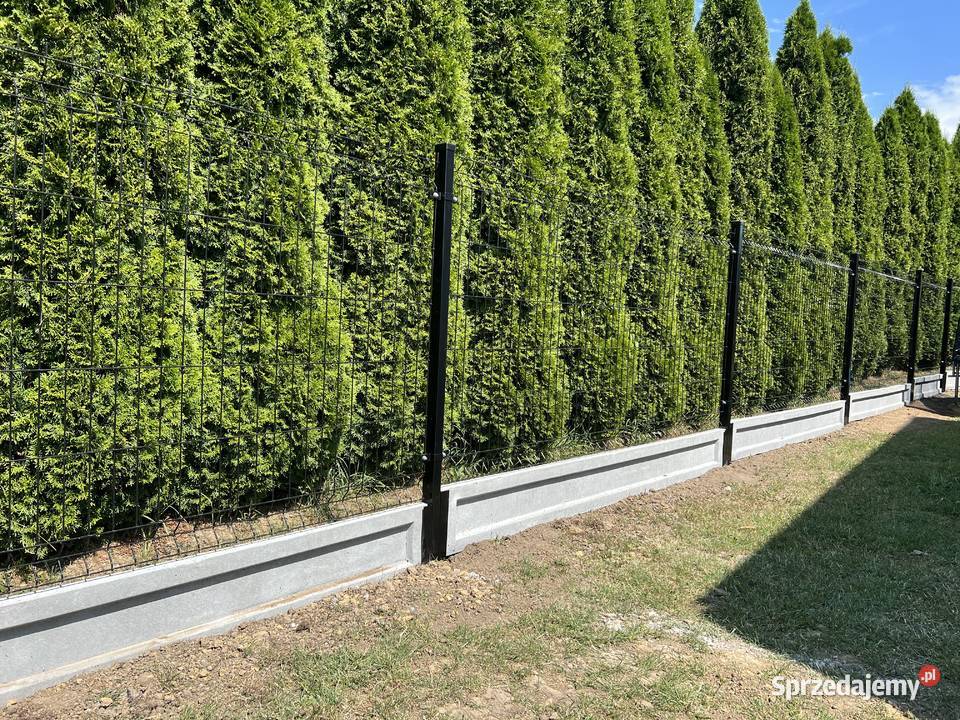 Panele Ogrodzenia Bramy Furtki Bukowina Tatrzańska