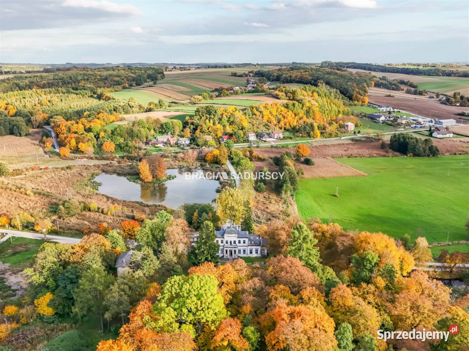 Sprzedam lokal Działoszyce 982m2