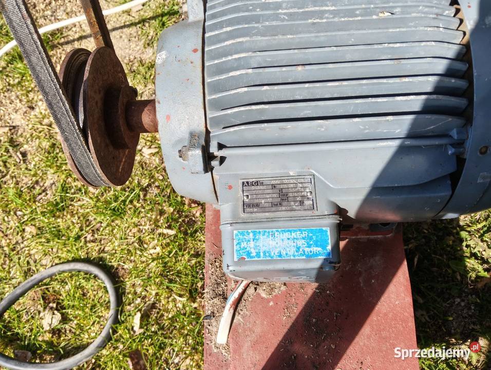 Trajzega cyrkulatka piła Zagajnik