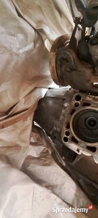 Silnik i skrzynia LT35 25tdi lubuskie Tuplice