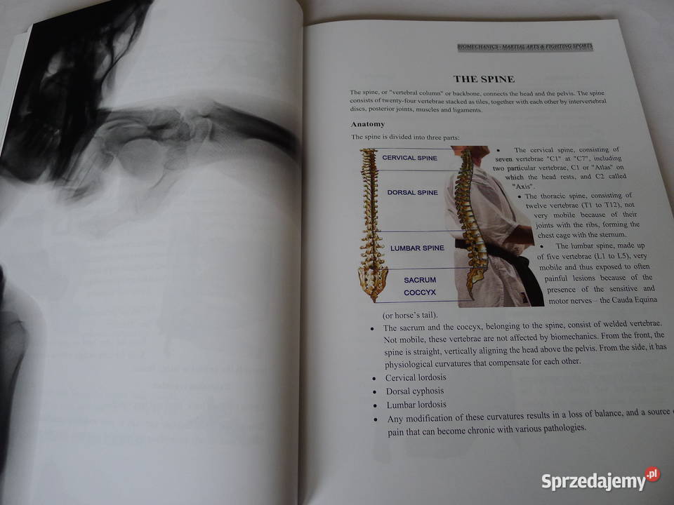 SHIHAN KRON Technical Biomechanics of Martial Radom
