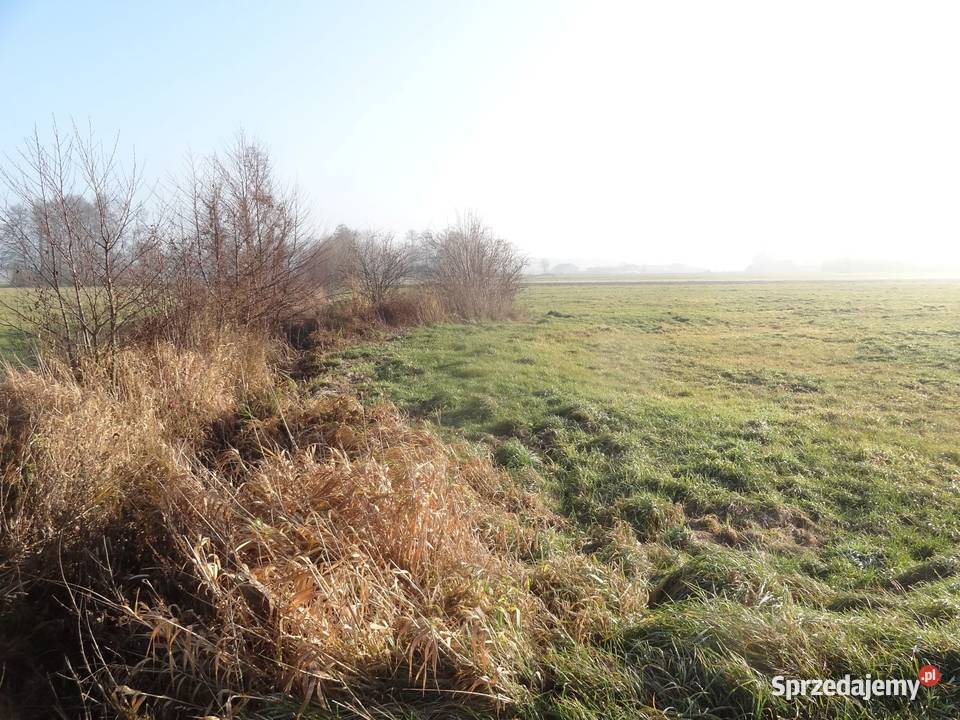 Sydyk sprzeda Grądy dz 1102 i 1112 6zł/m2 mazowieckie Krasnosielc