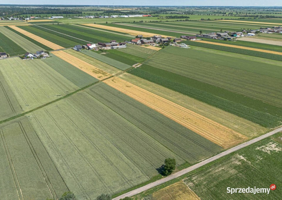 Grunty Rolne 580 Ha Magdalenki Wlkp Klasa III sprzedam
