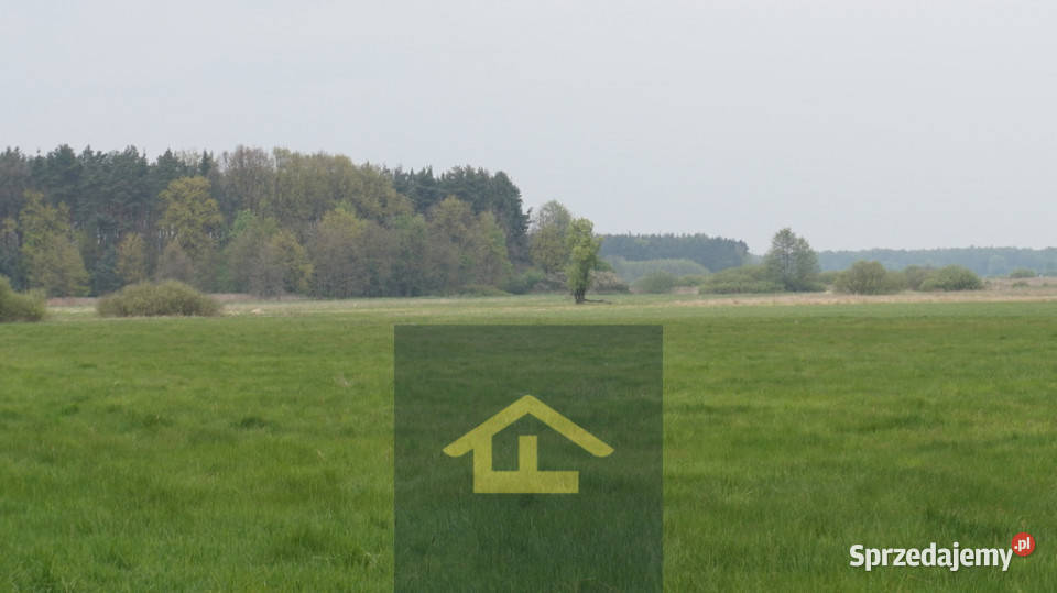 Nieruchomość w Całowaniu Sprzedaż Całowanie