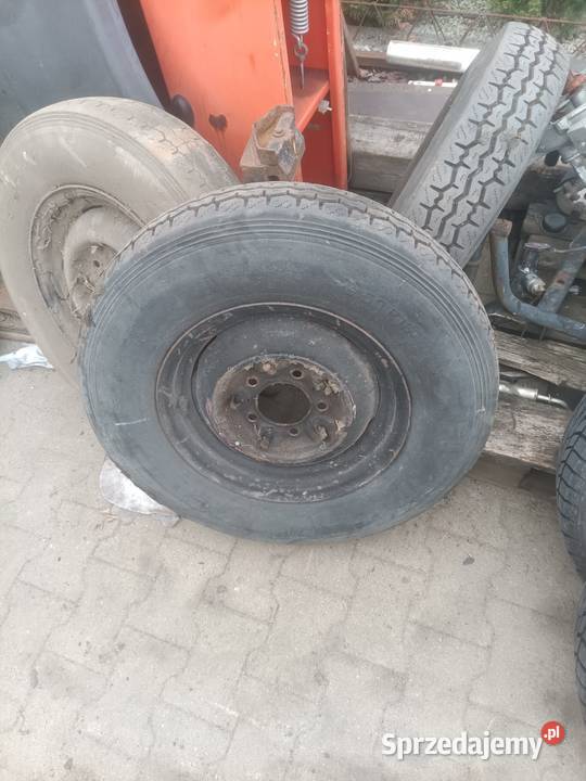 Koła żuk Nysa opolskie Dębska Kuźnia