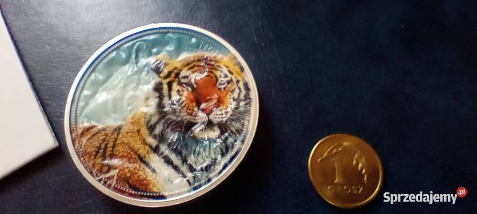Stare monety Medal 239 Lesko sprzedam