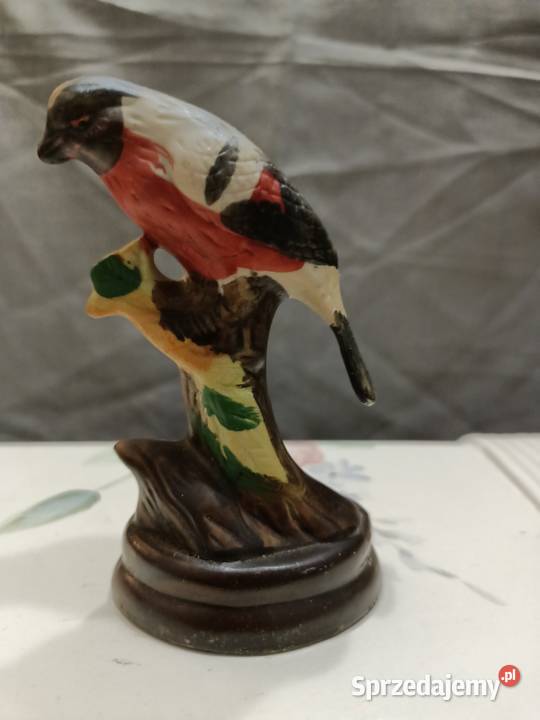 Ptak ptaszek BUBUFINCH