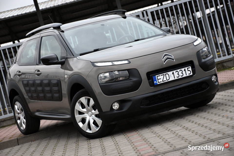 Citron C4 Cactus FEEL EDITION 12MPI 82 79130 Zduńska Wola