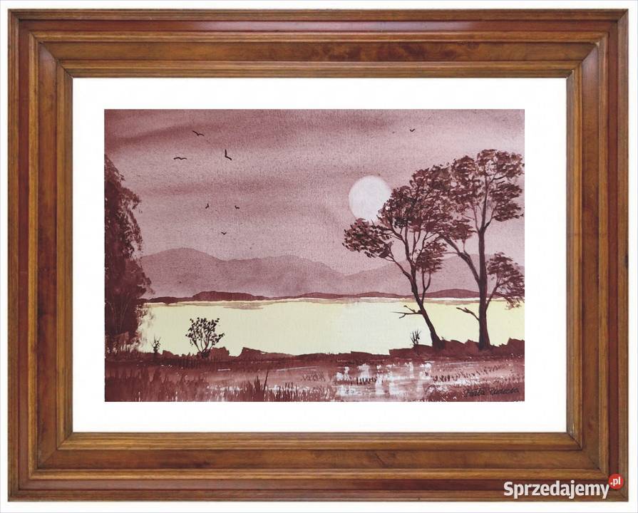 Akwarela Akwarelka Obraz pt Cisza którą przerywa Malarstwo Lublin sprzedam